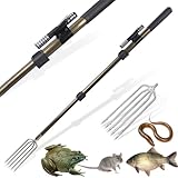 Dutiplus Fishing Harpoon Spear Gaff Gig Fork Hook for Frog Toad Cane Bullfrogs Bufo Flounder Fish Mole Remove Trap Catching Tool (Telescopic Toad Catching Fork - 5 Tooth, Champagne, 41 inches)