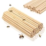 Udbrud 50 Stück Nisthülsen für Insektenhotel, 20 cm Länge Wildbienen Nisthülsen, Nisthilfen Bienen Insektenhotel Füllmaterial für Bienen, Schmetterlinge und Andere Insekten