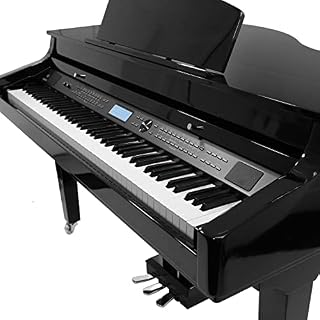 Divarte, Orchestra Piano BK , Piano numérique quart de queue 88 touches, Bluetooth audio/MIDI, écran LCD multifonctions… - Les Beatles, Paul McCartney, John Lennon, RIngo Starr, George Harrison Divarte, Orchestra Piano BK , Piano numérique quart de queue 88 touches, Bluetooth audio/MIDI, écran LCD multifonctions… – Image 3