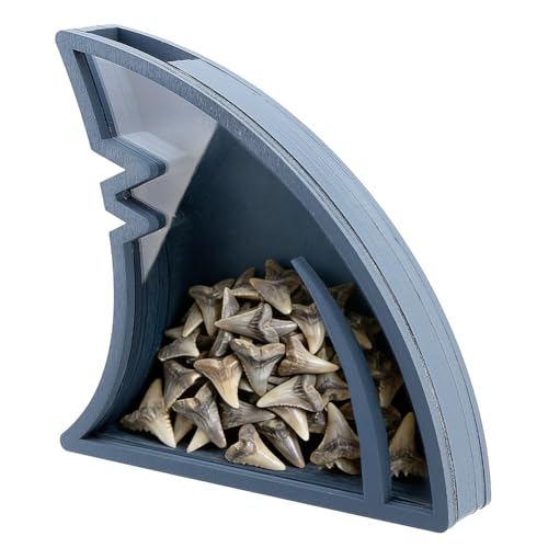 PH PandaHall Acrylic Shark Fin Display Case Gray Shark Shaped Shadow Box Acrylic Display Stand for Home Decor Office Display Shark Teeth Gift 6.3x1.1x6.1 inch