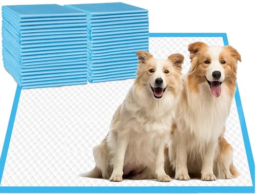 Image of Aurora Pet Ultra-Absorbent Puppy Pee Pads - Large 24x24 Inch, Leak-Proof & Quick-Dry Potty Training Pads (40-Pack), Durable Protection for Dogs - Blue & White