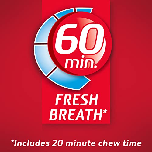 Dentyne Fire Sugar Free Gum (Spicy Cinnamon 16 Piece Pack of 9)