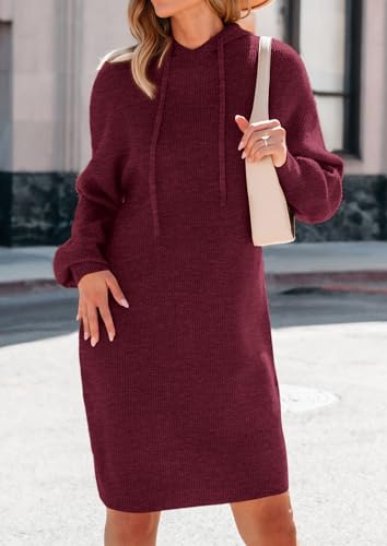 PRETTYGARDEN Womens Fall Sweater Dress Casual Long Sleeve Chunky Knit Pullover Oversized Hoodie Tunic Sweaters Winter Clothes