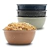 American Atelier Cereal Bowls Soup Bowls Stoneware Bowl Set for Kitchen Set of 4 19 Ounce Pasta Ramen Salad Bowl Set Reusable Microwave and Dishwasher Safe Assorted Colors