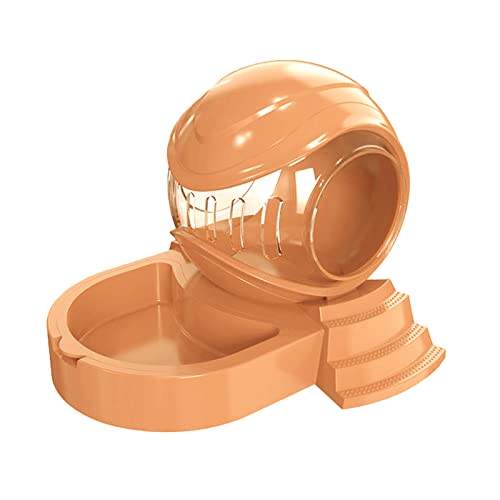 nX^[{EBƂ̉ƃ^[I[o[t[hfBbVtB[_[a{Eh[tnX^[nX^[킢ƂƓa{E