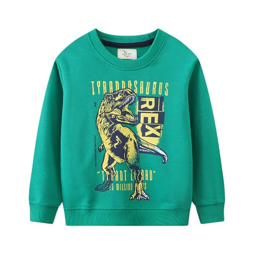Boys Sweatshirts Casual Sweatshirts Cotton Sweatshirts Long Sleeve T-shirts Crew Neck Cartoon Tops for Boys-120