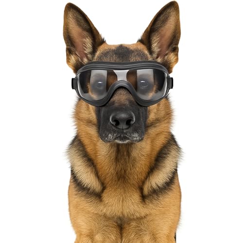 Fohuanky Hundebrille für mittelgroße und große Rassen, Verstellbarer Riemen, UV-Schutz, Brille für Golden Retriever, Labrador, Deutscher Schäferhund, Boxer (Transparent)