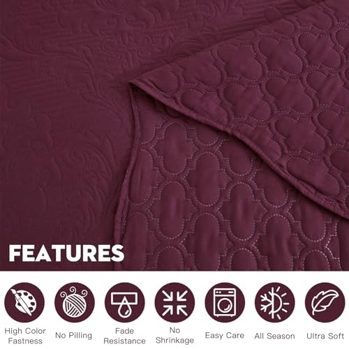 Image of CHIXIN Bedspread Coverlet Set Queen Size - Lightweight Bedding Cover - Ultrasonic Quilting - 5 Piece Reversible Bedspread - Elegant Damask Paisley Pattern (Queen, Purple)