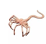 RoofWorld 1/6 Scale Figures Accessory Figure Model Scene Props Fit 12'' Soldier Action Figure Body