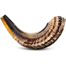 Shofar Horn Instrument RAM Shofar Angels Musical Instrument 14-16, Single