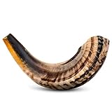 Shofar Horn Instrument – RAM Shofar Angels Musical Instrument – Half Polished/Natural (14-16)