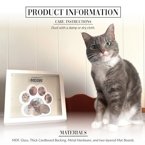 Placa cuadrada de fotos de huella Meow de 9 pulgadas, el regalo ideal para amantes de los gatos 3