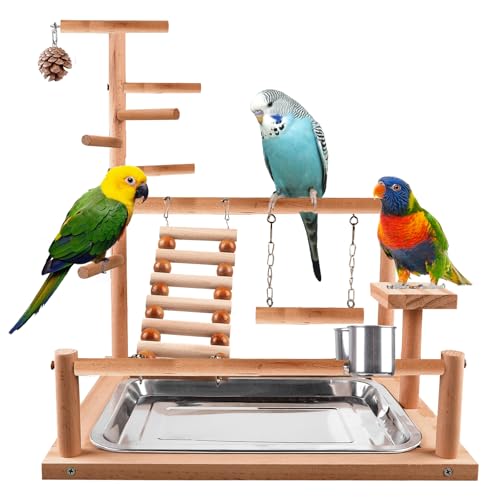 Wellensittich Spielplatz,Vogelspielplatz aus Holz,Papageienspielständer mit Feeder Cup,Spielzeug Leiter Erklimmen Schaukel und Tablett,Vogelspielzeug Spielplatz Vogel-Spielplatz,Papageienspielzeug Wellensittich Spielplatz,Vogelspielplatz aus Holz,Papageienspielständer mit Feeder Cup,Spielzeug Leiter Erklimmen Schaukel und Tablett,Vogelspielzeug Spielplatz Vogel-Spielplatz,Papageienspielzeug