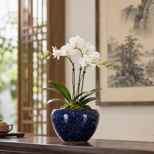 Pot de fleurs en céramique violet pour protéger les succulentes du dessèchement - 7