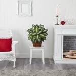 Nearly Natural 6639 24in. Golden Dieffenbachia Silk Plant, Green - Image 3