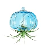 Handcrafted Blown Glass Jellyfish Hanging Planter – Unique Air Plant Holder, Sea Glass Hanging Planter for Distinctive Terrarium Decor, Perfect for Garden, Porch, or Windowsill (No Plants)