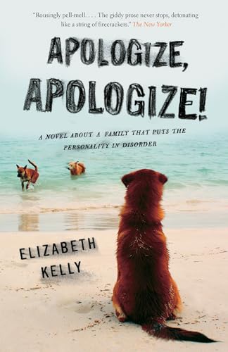Apologize, Apologize! view 2