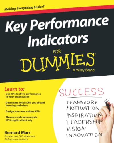 Key Performance Indicators For Dummies view 2