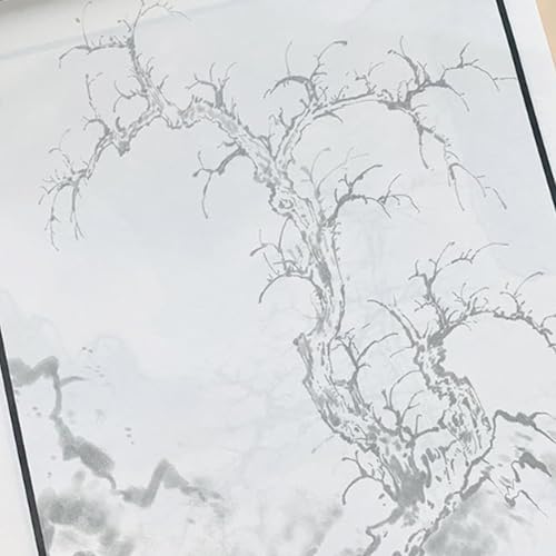 Carnet d'exercices de coloriage chinois et méthode d'esquisse