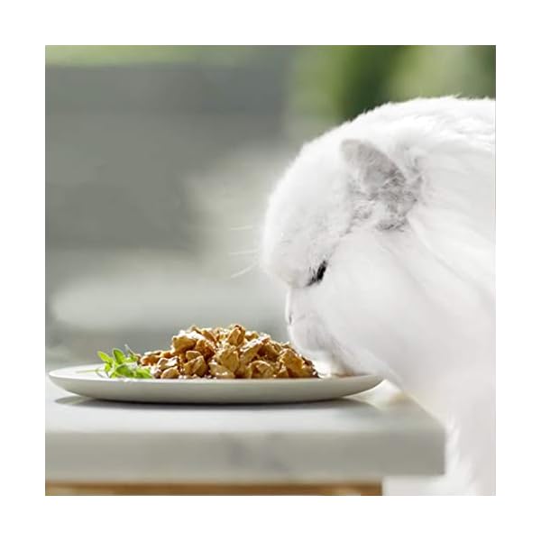 Gourmet PURINA GOURMET Gold Feine Komposition Katzenfutter nass, mit Ente und Truthahn, 12er Pack (12 x 85g) – Bild 3
