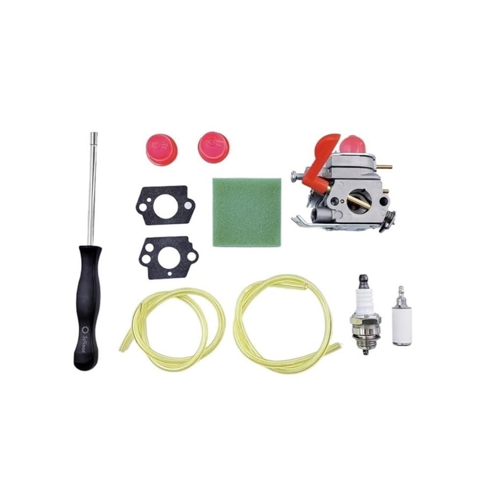 Carburateur 530071811 haute précision pour moteur C1U-W19 Pro Le