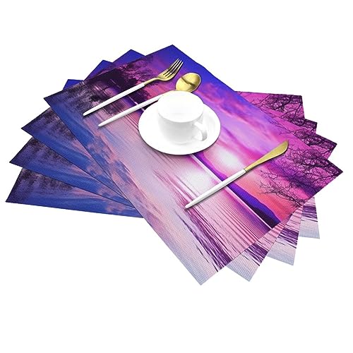 Sets de table résistants haute qualité au design coucher de soleil pour dîner - 5