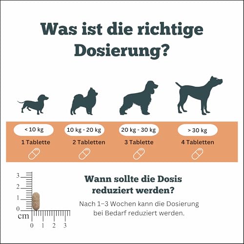 Smooth Locomotion - Gelenktabletten für Hunde bei Rücken- & Hinterhandproblemen, Arthrose & Aufstehschwierigkeiten – natürliche Unterstützung für Muskeln & Gelenke – 90 Tabletten - Sensipharm