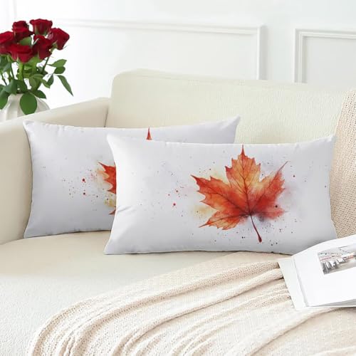 Coussins canape doux et moelleux velours blanc de qualité supérieure