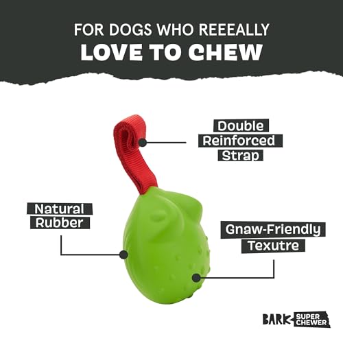 Image of BarkBox Tug Tied Toad Dog Toy | for Tough Chewers - Durable Rubber Design, Perfect for Tug-of-War