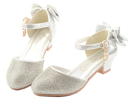 Toddler/Little/Big Girls Dress Shoes Mary Jane Flower Girl Low Heels Shoes for Wedding Party 5501