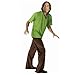 Rubies Costumes Men's Scooby-Doo Shaggy Adult Costume