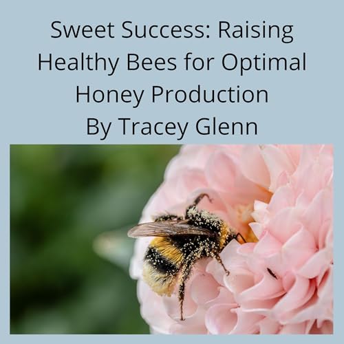 Sweet Success by Tracey Glenn episode artwork