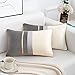 Lot de 2 Housses de Coussin 30x50cm Grises Coutures en Cuir Dorées Decoratif Taie d'oreiller Velours Luxe Moderne pour Canapé-lit Chambre à Coucher Salon Home Decor
