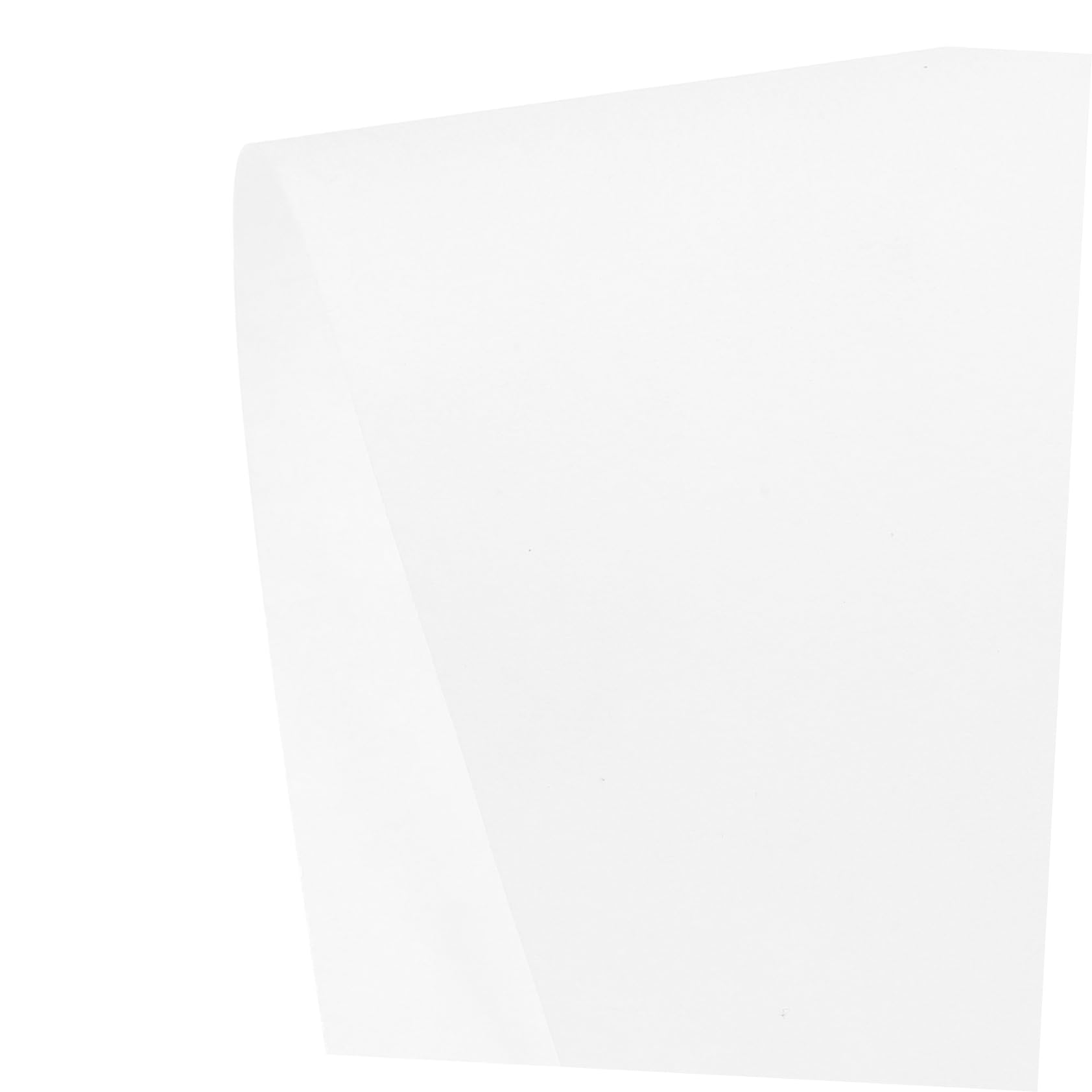 Carta da Filtro Qualitativa da Laboratorio 20 Pezzi Bianca 60cm