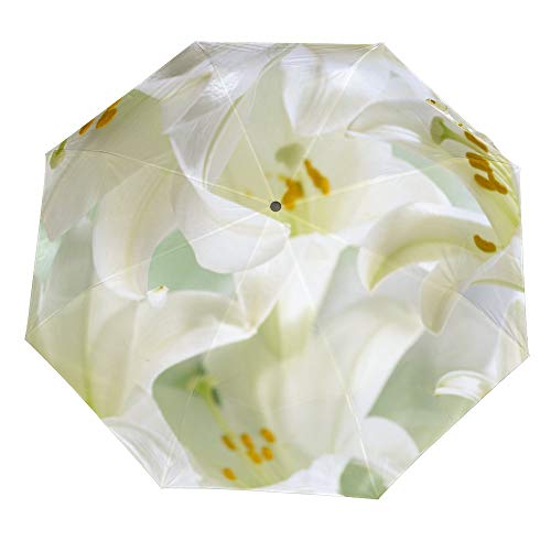 Parapluie compact ZIYA à motif fleurs : la solution légère pour rester au sec au quotidien