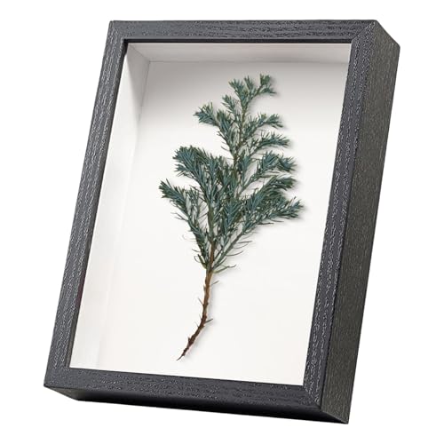 Image of Black A4 Picture Frame Deep - Shadow Box 3D 12X8 Photo Frames with Mount Display Box Wooden Desktop or Wall Hanging for Medal Flowers 21x29.7 CM (Black432,Depth 3cm)