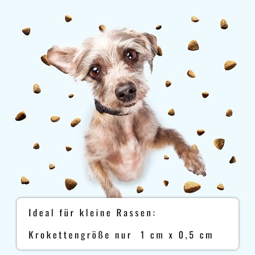 Sollis Trockenfutter für Hunde | Kleine Rassen | Angus-Rind | Getreidefrei & Zuckerfrei | Hoher Fleischanteil | Besonders verträglich | 2kg