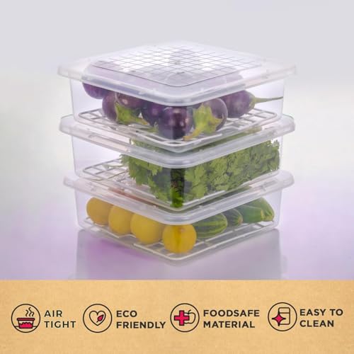 Image of TASMAX Fridge Storage Boxes, Plastic Fridge Containers, Fridge Accessories Items, (SQUARE FRIDGE CONTAINER)
