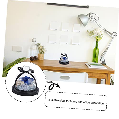 HOMSFOU Esposarosapresentedevidrodecasamentoimortalizadocapadefloreternaazulnamoradaparaaniversáriom