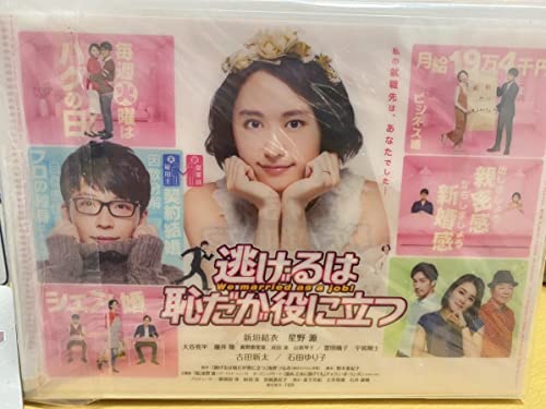 新垣結衣 逃げるは恥だが役に立つ DVD-BOX クリアファイル 新垣結衣 逃げるは恥だが役に立つ DVD-BOX クリアファイル