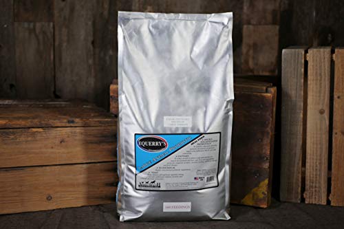 Equerry's Large Animal Probiotic 160 Feedings for 1000 lb. Horse, 20lb.