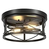 Feanron Flush Mount Ceiling Light Fixtures, Industrial 2-Light Black Ceiling Light, Farmhouse Close