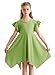 Alakuoti Toddler Girls Dress 2024 Summer Green Double Layer Ruffle Short Sleeve Fashion High Low Swing Dresses for Kids 4t 5t