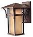 Hinkley Lighting 2570AR Hinkley Lighting H2570 10.5" Height 1 Light Lantern Outdoor Wall Sconce in Ancho