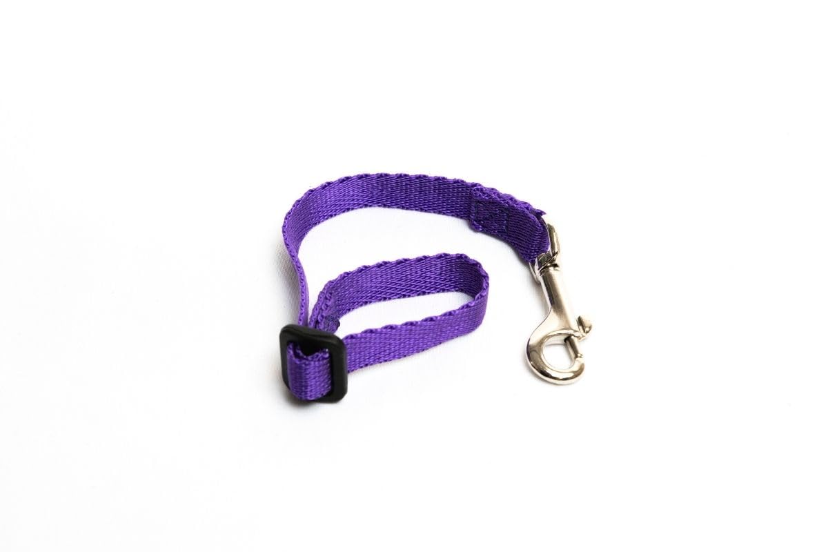 Gencon Link Purple