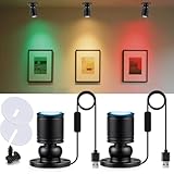 INKECI USB Powered Mini Spotlights for Displays 2-Pack – 5V Small LED Spot Lights Indoor, 7 Color Options, Compact USB Spotlight for Display Cases, Shelves, Cabinets, and Artwork (2PACK Blue Light)