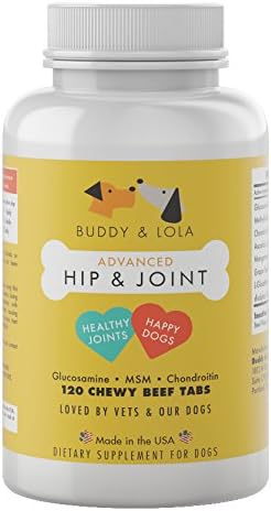 Buddy & Lola Dog Hip and Joint Supplement - 800mg Extra Strength Glucosamine for Dogs - 120 Dog Joint Supplement Chews with MSN, Chondroitin for Mobility and Arthritis Pain Relief for Dogs
