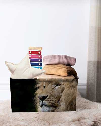 Close-Up African Lion With Brown Hair Storage Bins, Cube Storage Organizer With Handles, King Of The Prairie Black Backdrop Waterproof Clothes Hamper Storage Basket For Toys/Blanket 15"X11"X9.5" #TOP6