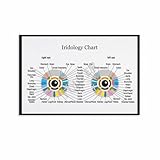Iridology Chart Poster Iridology Knowledge Guide Eye Hospital (3) Canvas Painting for Living Room Bedroom Decor 12x08inch(30x20cm) Unframe-style