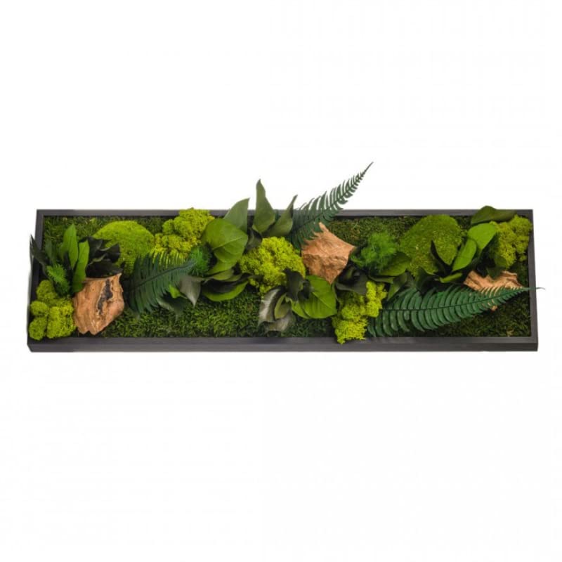 Naturalys - Tableau végétal Mural stabilisé 70cm Noir